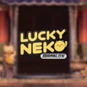 Lucky neko logo