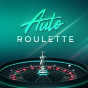 Auto Roulette Switch Studios logo