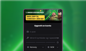 Oppgi nødvendig informasjon