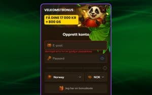 Oppgi nødvendig informasjon