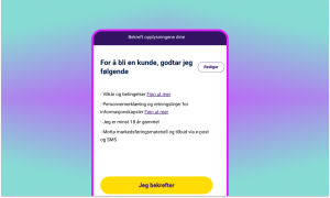 Bekreft detaljer og godkjenn vilkår