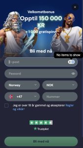 Fyll ut registreringsskjemaet