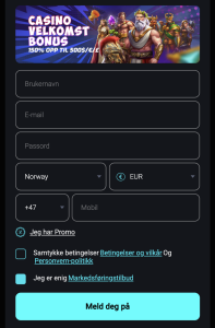 Fyll inn kontoinformasjon: 