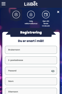 Fyll ut skjema