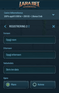 Legg inn personopplysninger:
