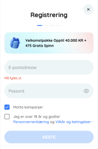 Fyll inn dine detaljer