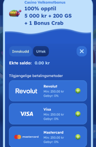 Gjør ditt første innskudd