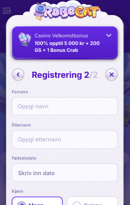 Fyll inn detaljer