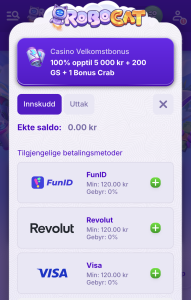 Gjør innskudd