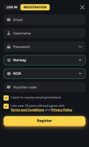 Godta brukervilkår