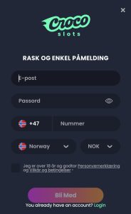 Fyll inn opplysningene