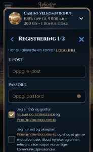 Opprett innloggingsdetaljer