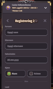 Sett inn penger