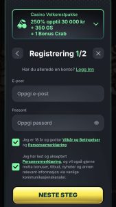 Fyll inn registreringsskjemaet