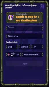 Fyll inn detaljene