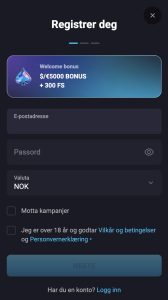 Fyll inn første del