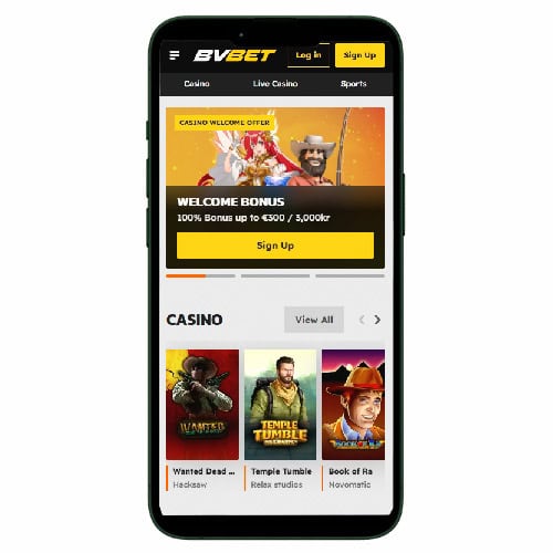 BVBet Casino